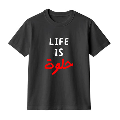 FMstyles Brand "Life is Halwa" Typography Classic 100% Cotton Round Neck Printed T-Shirt
