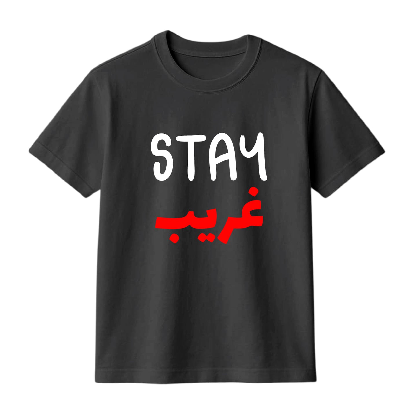 FMstyles Brand "Stay Gareeb" Typography Classic 100% Cotton Round Neck Printed T-Shirt